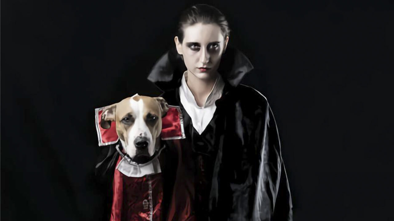 Halloween dog and owner vampire costumes